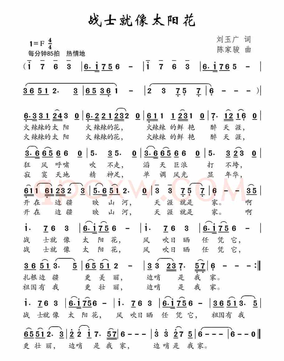 战士就像太阳花