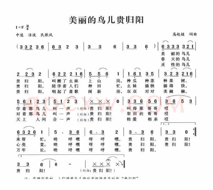 美丽的鸟儿归贵阳