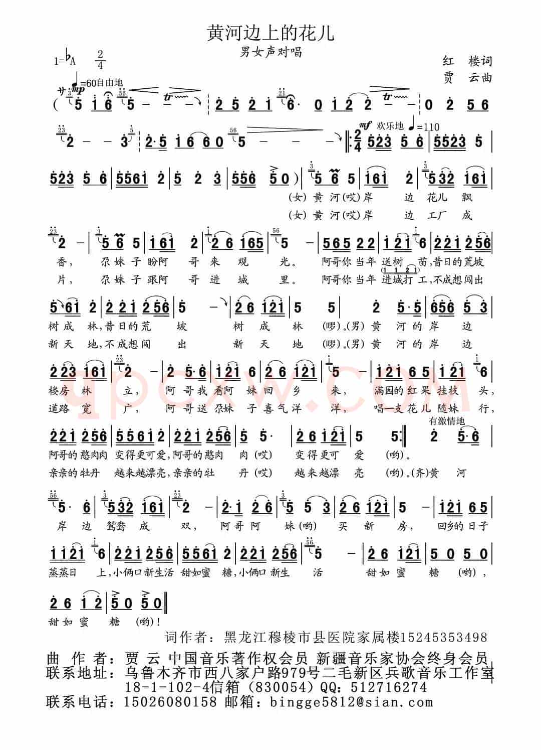 黄河边上花儿