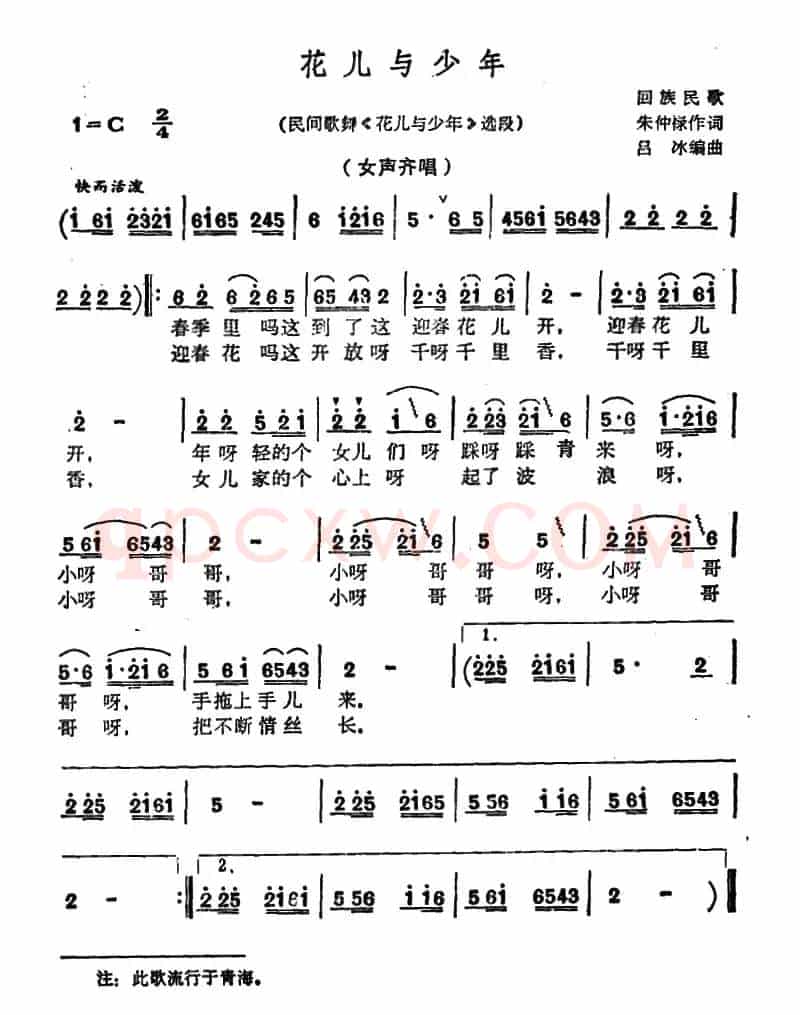 花儿与少年（民间歌舞《花儿与少年》选段）