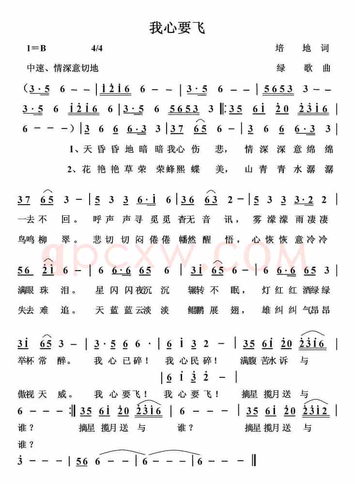 我心要飞