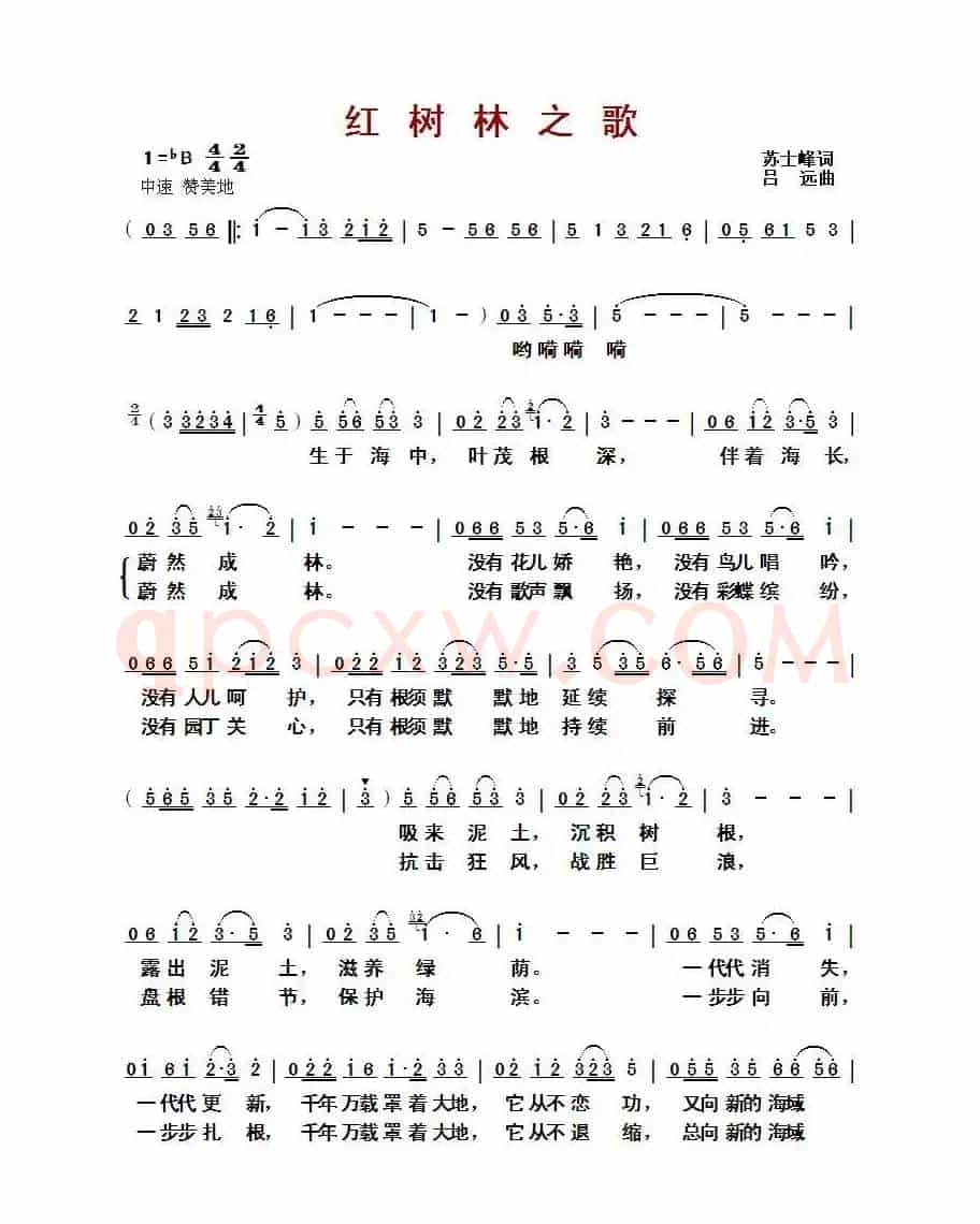 红树林之歌(苏士峰词 吕远曲)