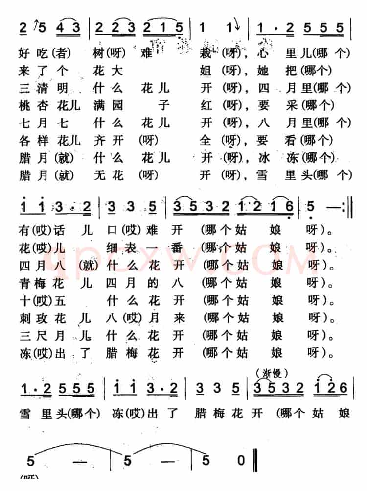 猜花（伊犁回族民歌）