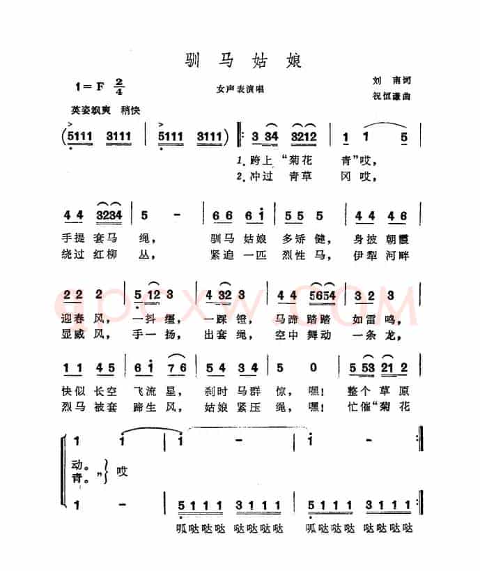 驯马姑娘