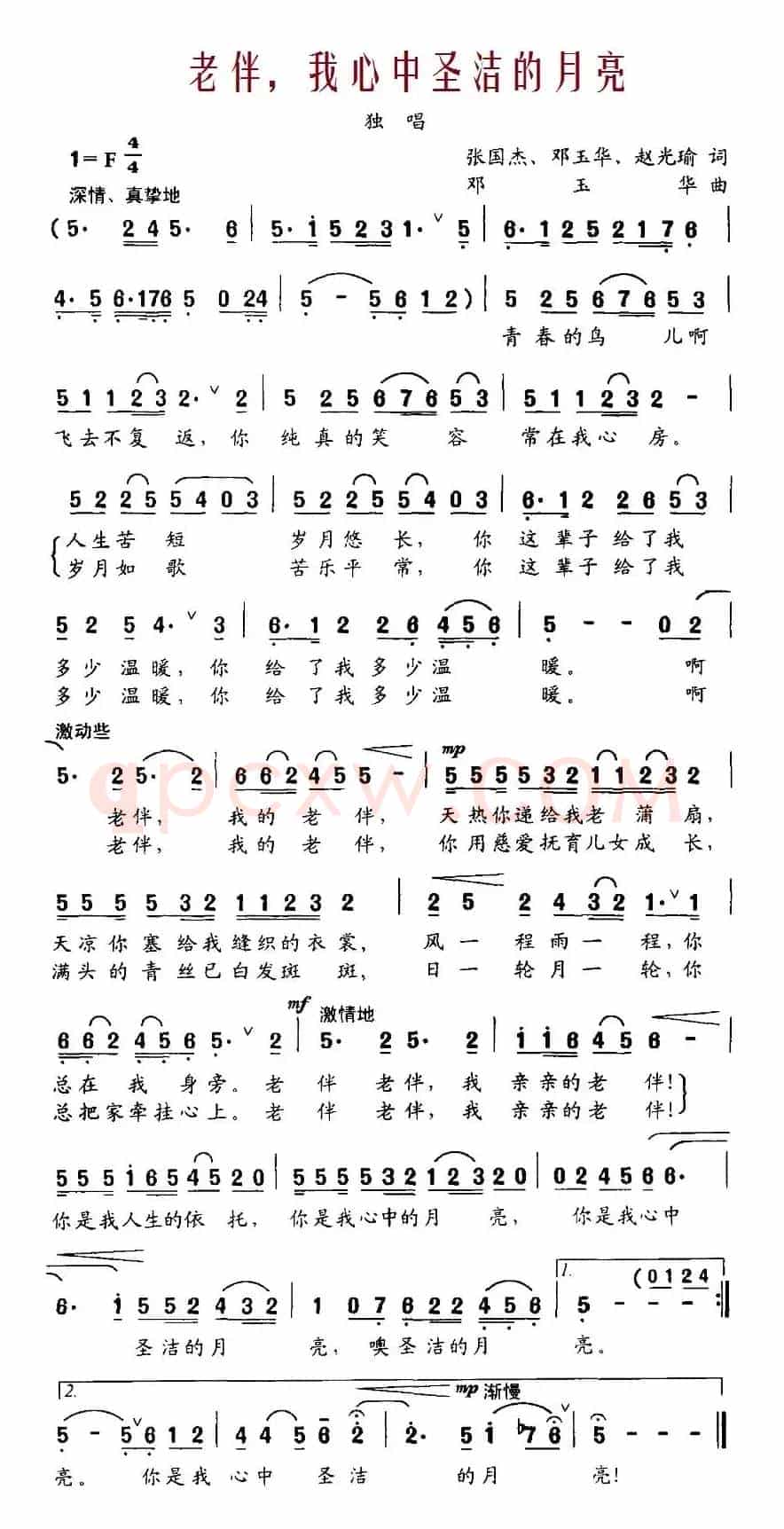 老伴，我心中圣洁的月亮