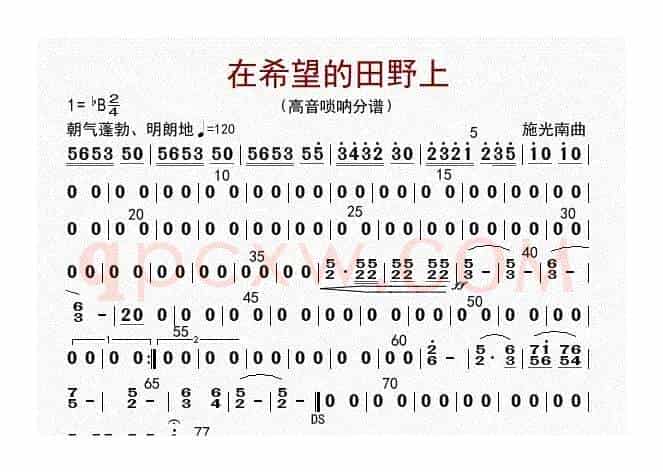 在希望的田野上（高音唢呐分谱）