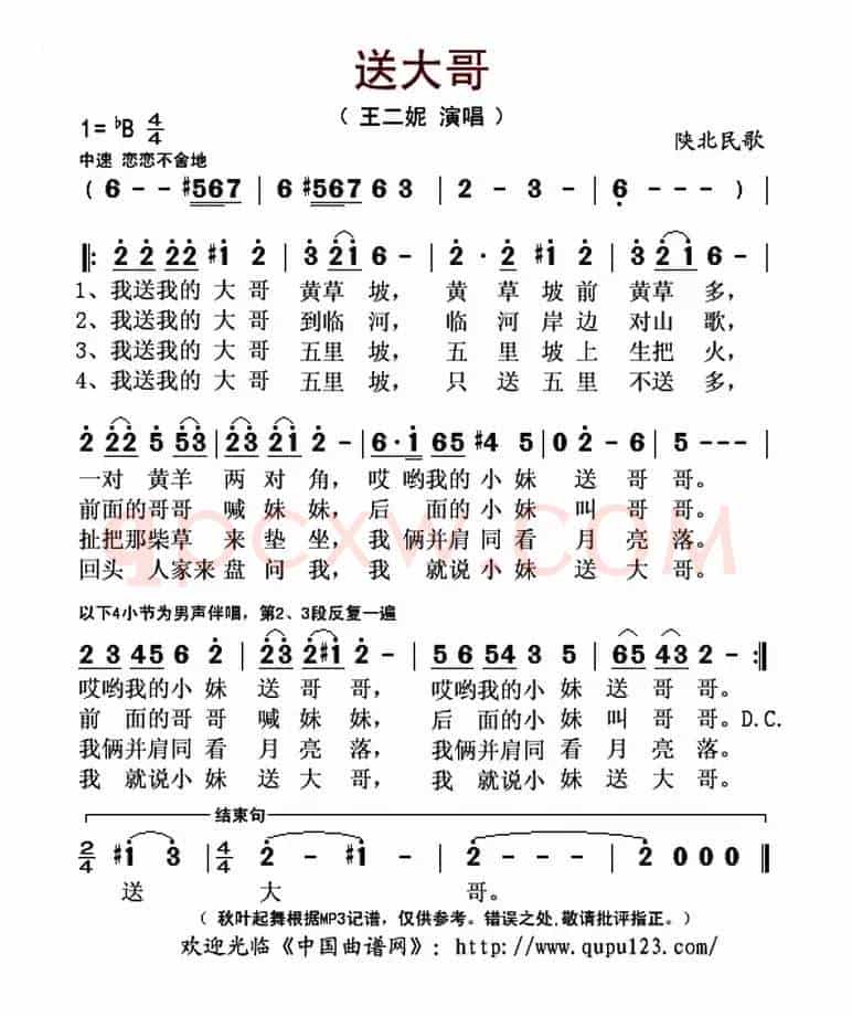 送大哥（王二妮演唱版）