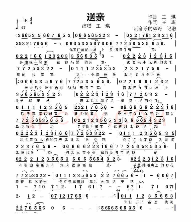 送亲（王  琪）