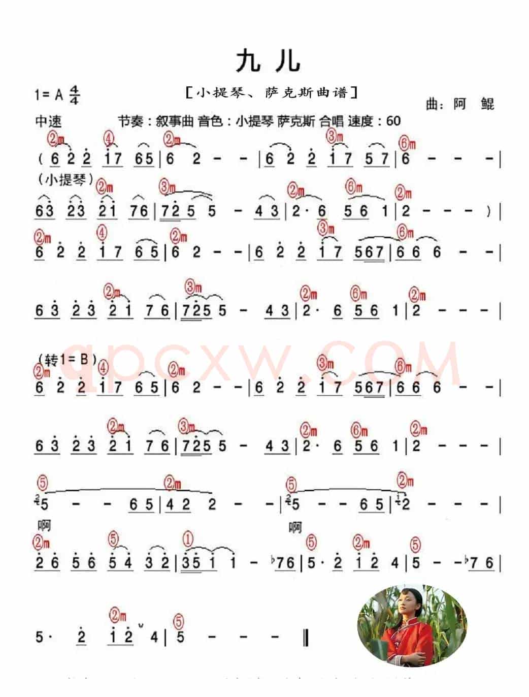 九儿（小提琴。萨克斯曲谱）
