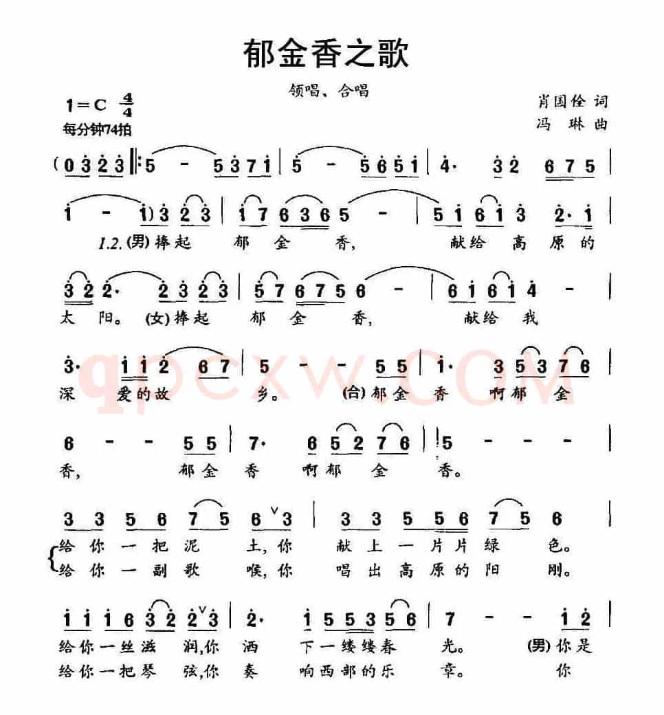 郁金香之歌