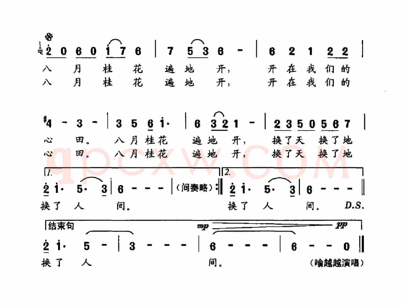 桂花