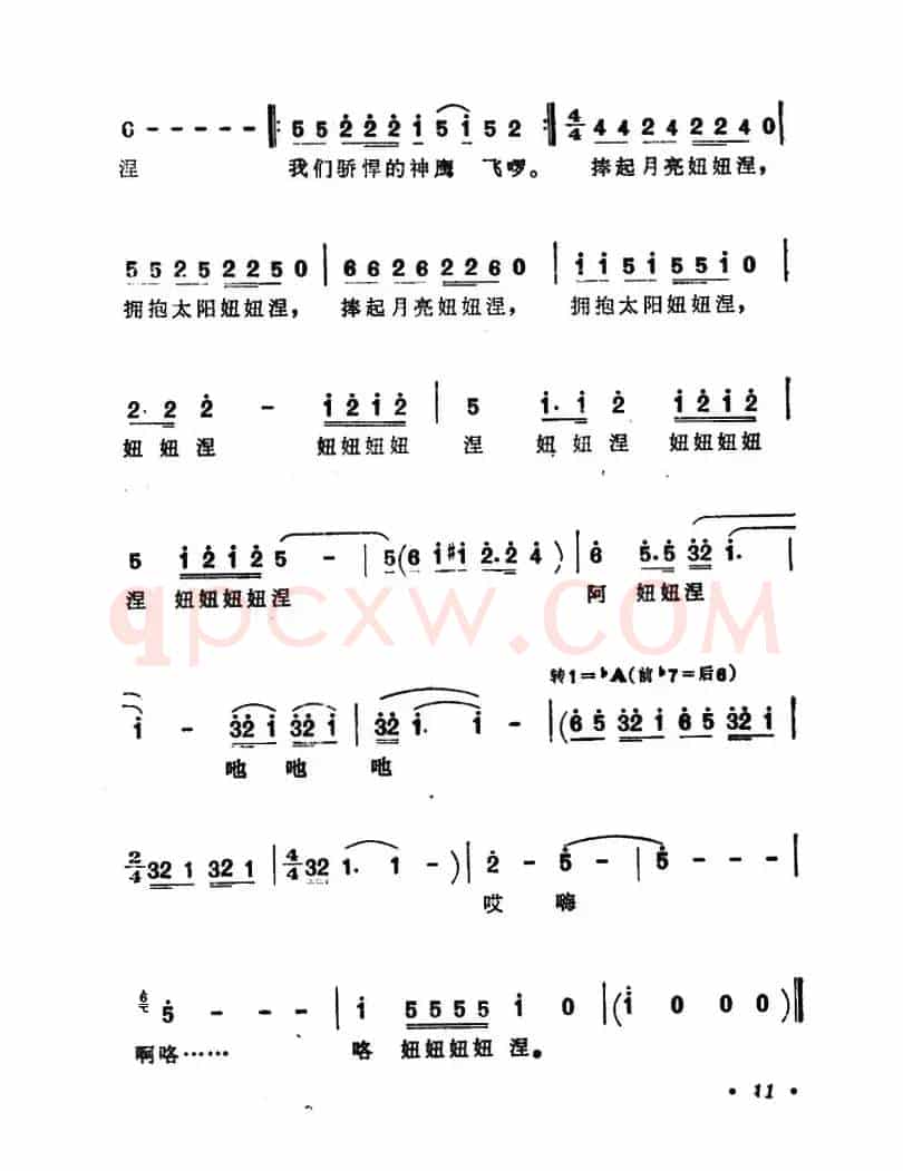 神鹰颂