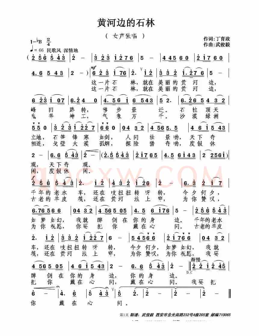 黄河边的石林