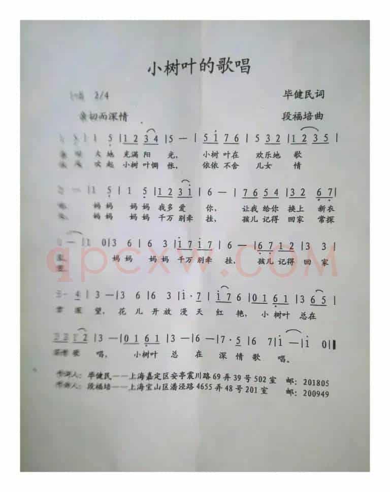 小树叶的歌唱  