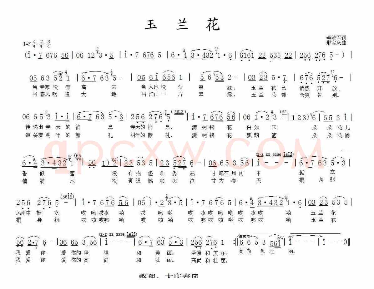 玉兰花