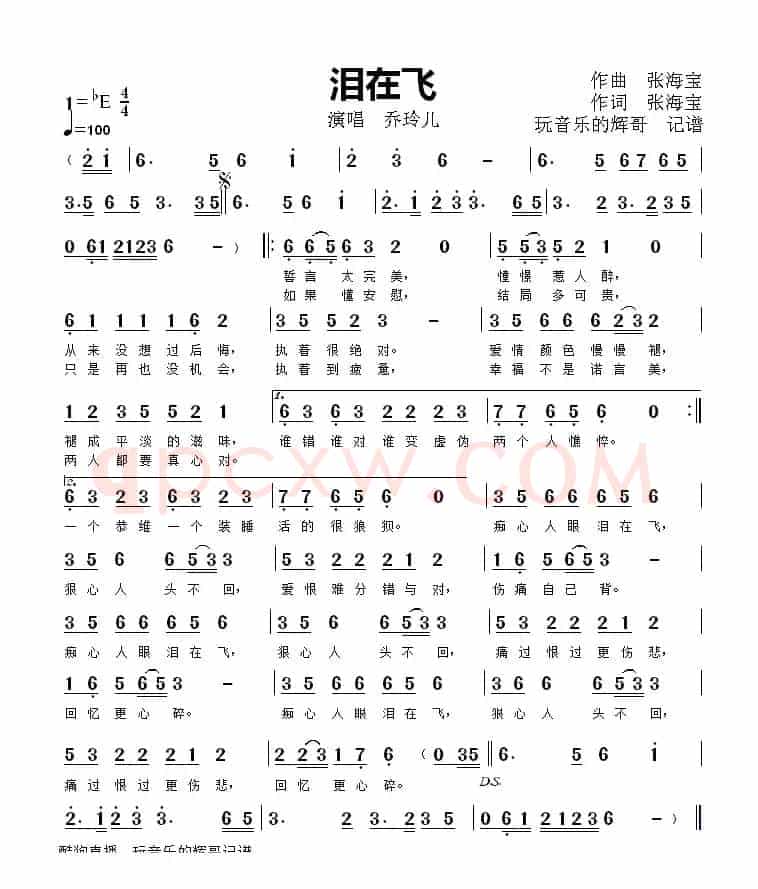 泪在飞（乔玲儿）