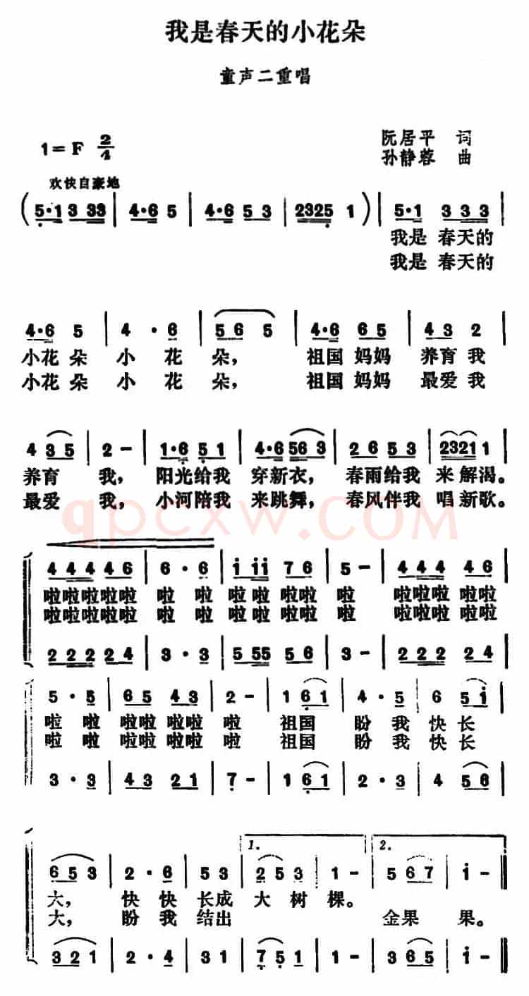 我是春天的小花朵
