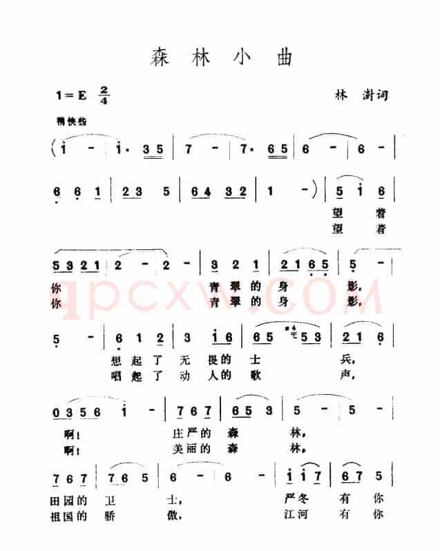 森林小区