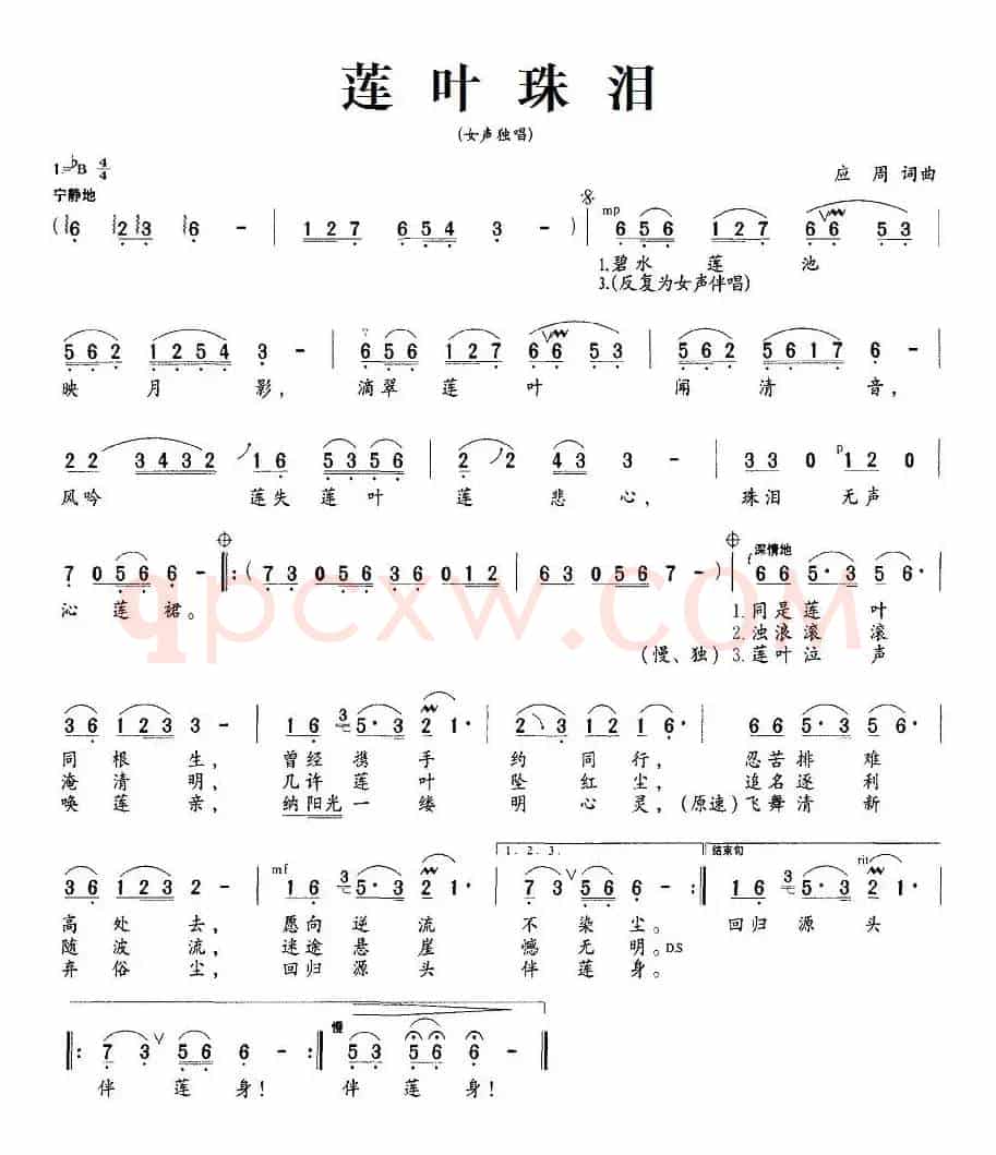 莲叶珠泪
