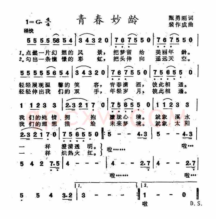 青春妙龄