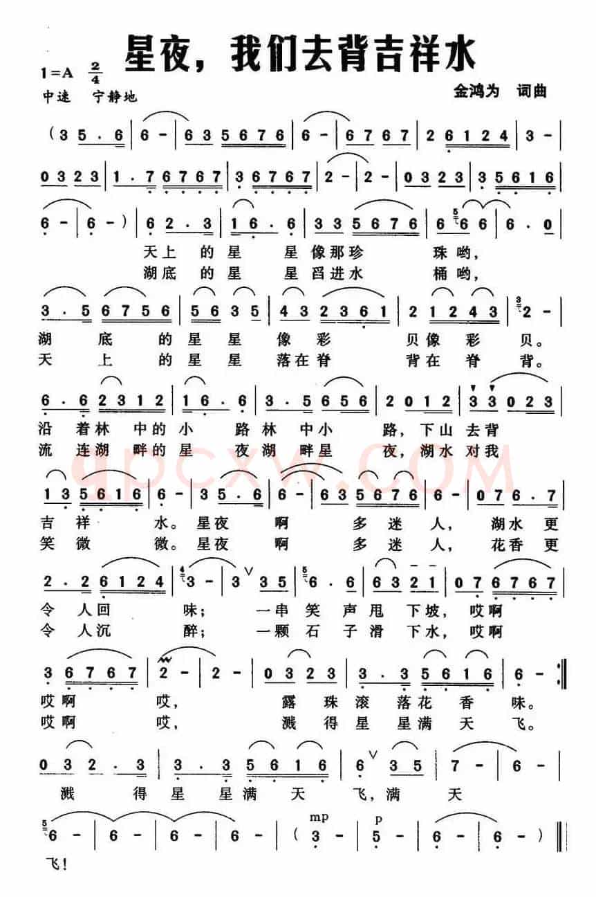 星夜,我们去背吉祥水(金鸿为词曲)