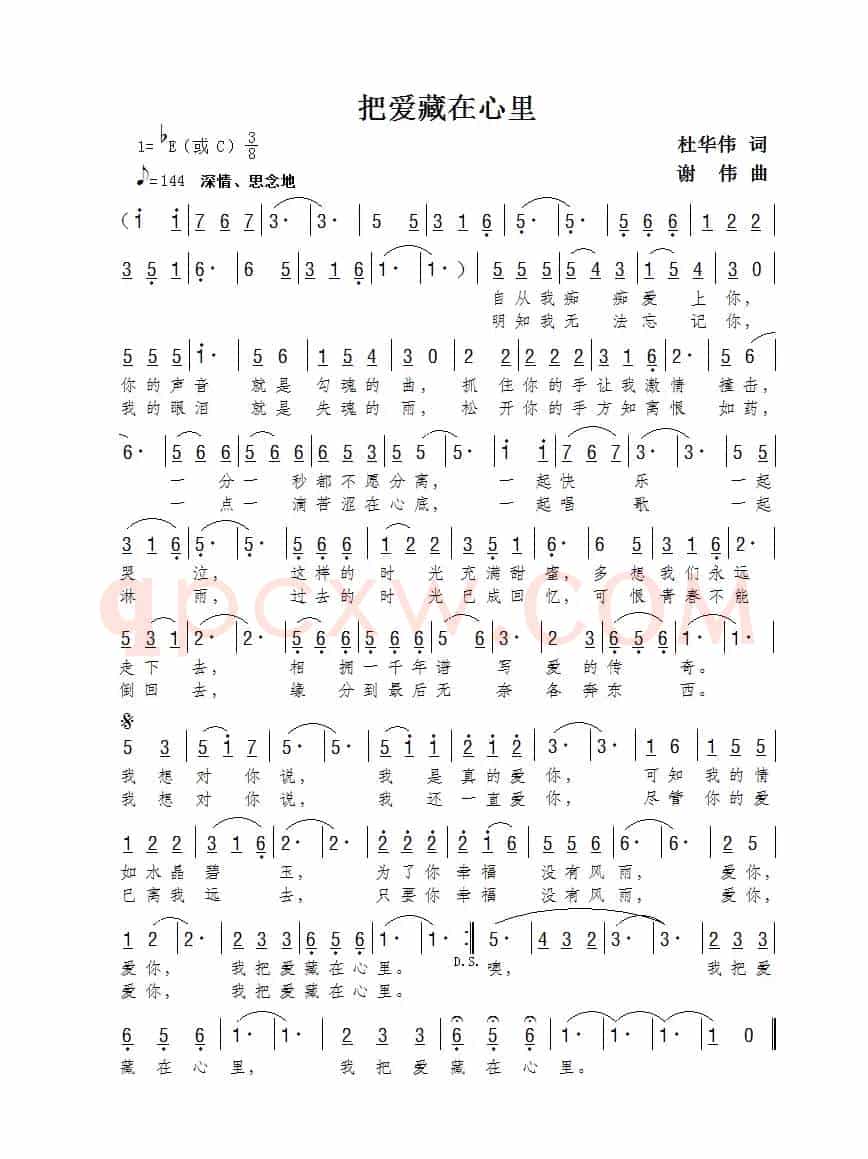 把爱藏在心里（杜华伟词  谢伟曲）