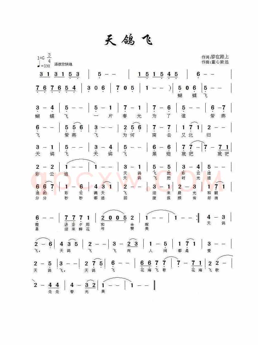 天鸽飞