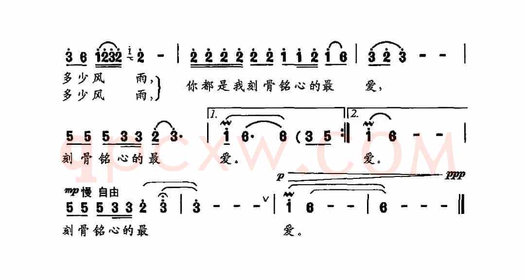 草海之恋
