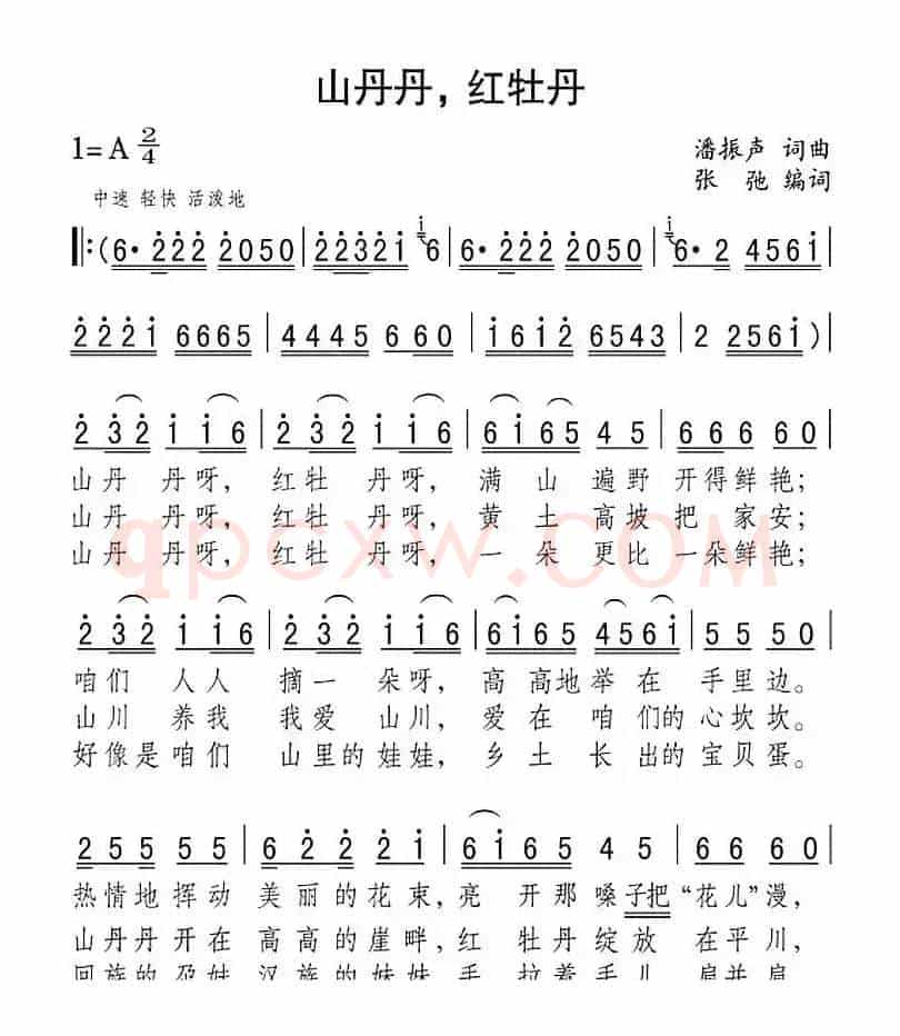 山丹丹，红牡丹