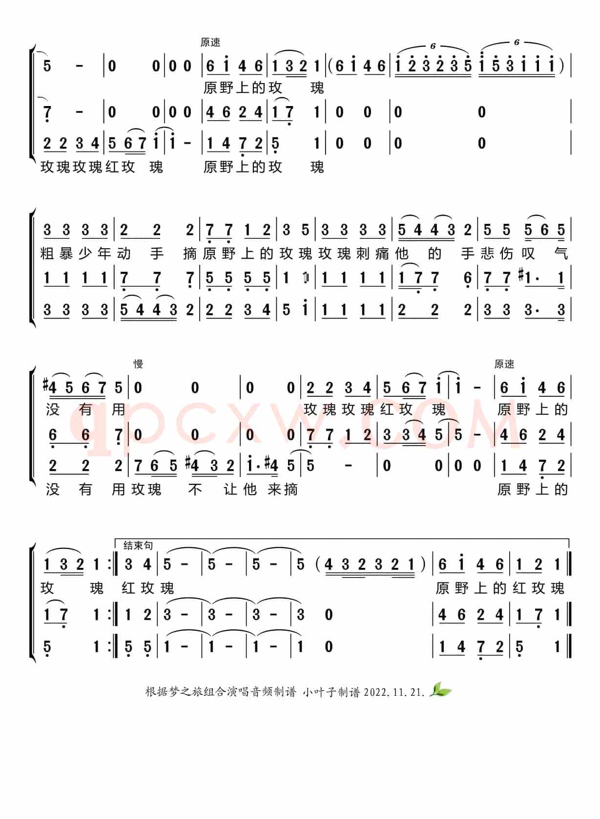 野玫瑰（梦之旅组合）