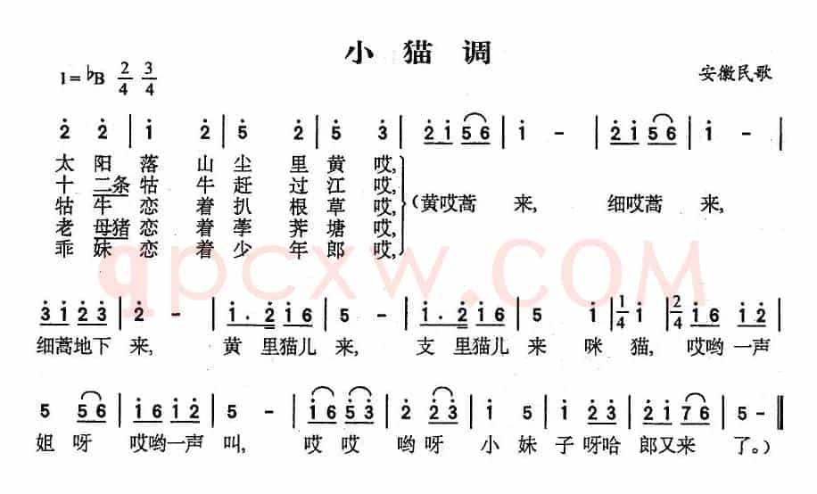小猫调