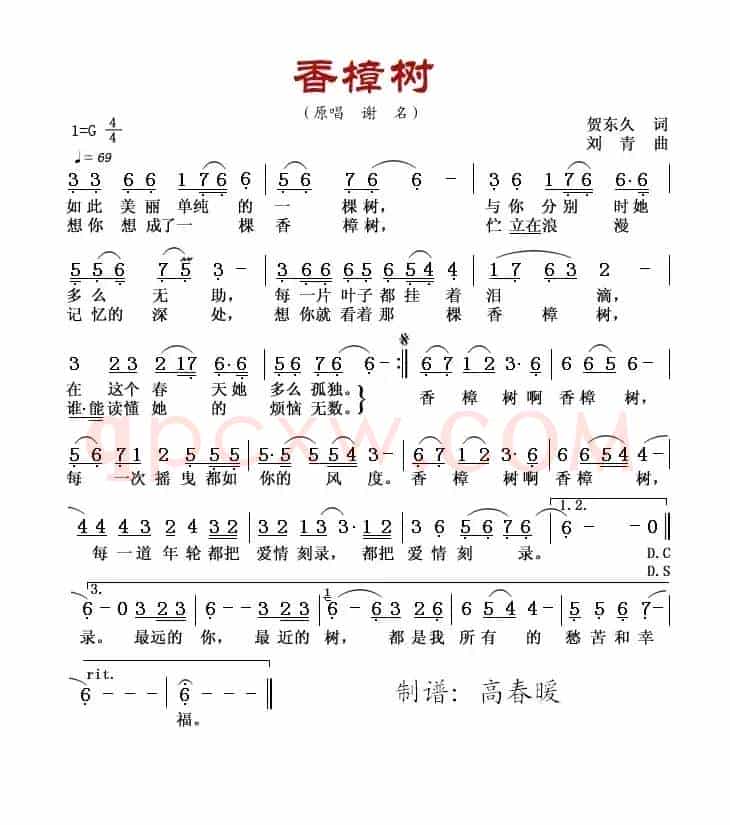 香樟树