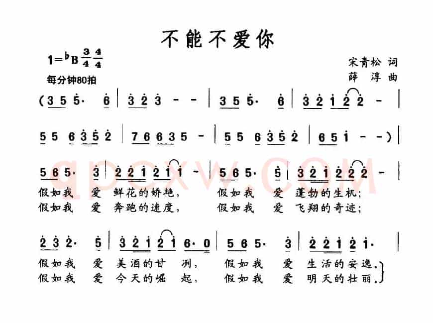 不能不爱你（宋青松词 薛淳曲）