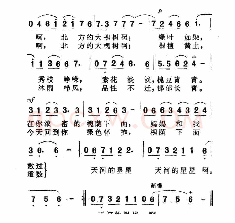 北方的大槐树（黎琦词 赵季平曲）