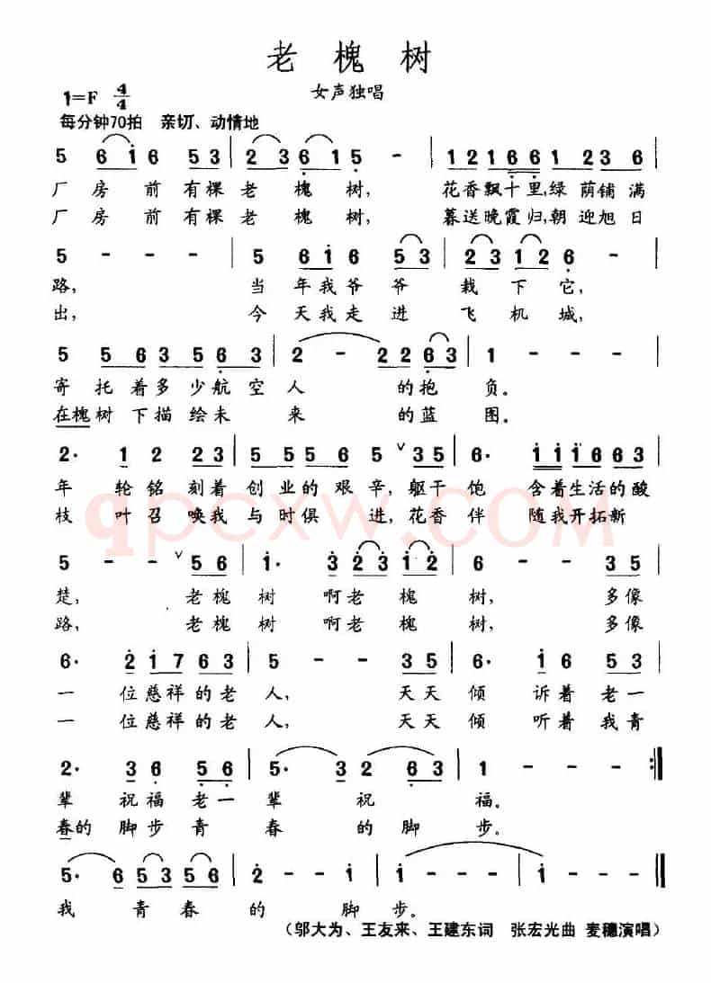 老槐树