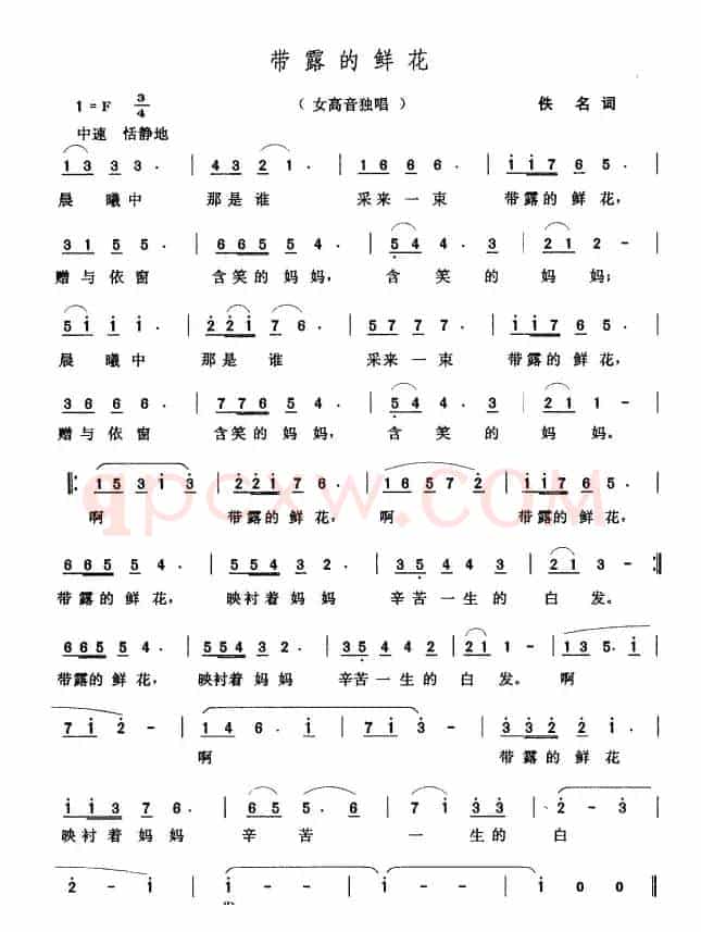 带露的鲜花（佚名词 张玉晶曲）