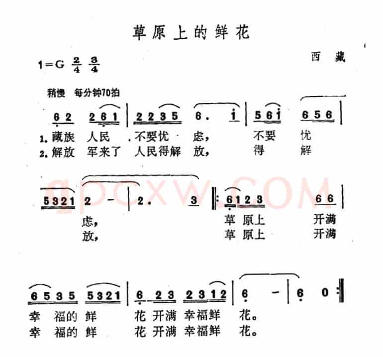 草原上的鲜花（西藏民歌）