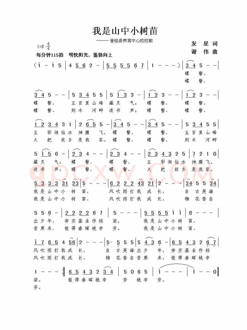我是山中小树苗