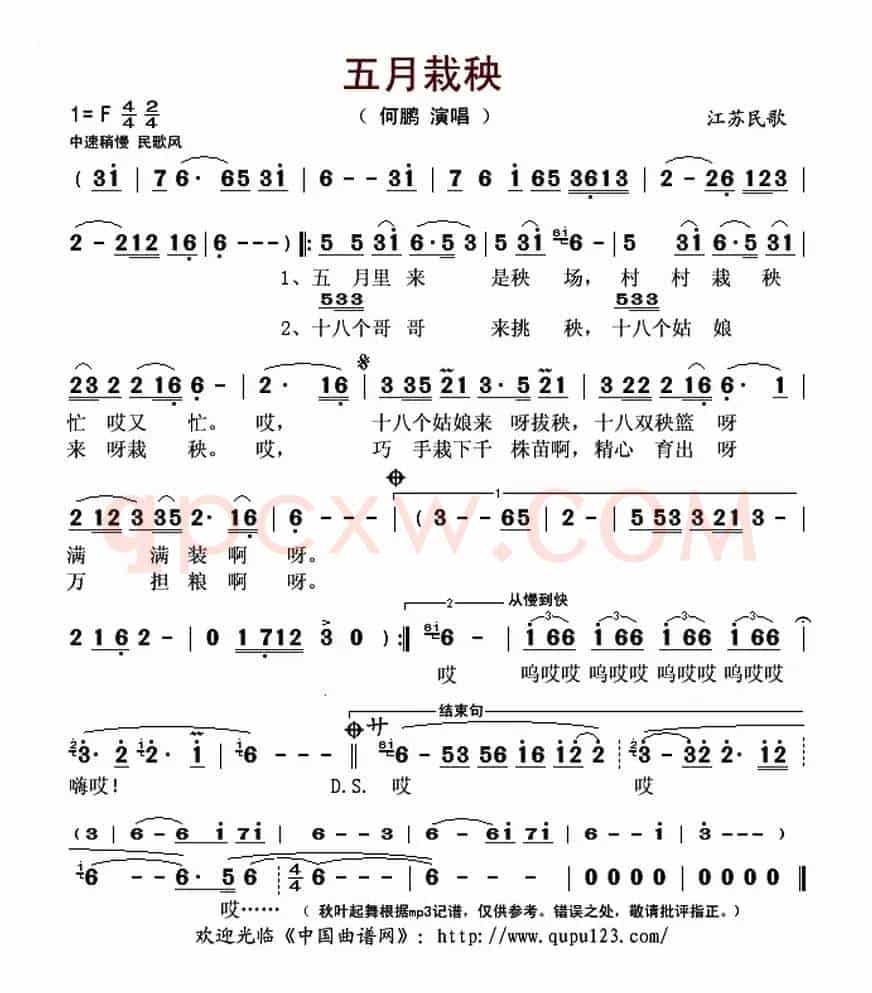 五月栽秧