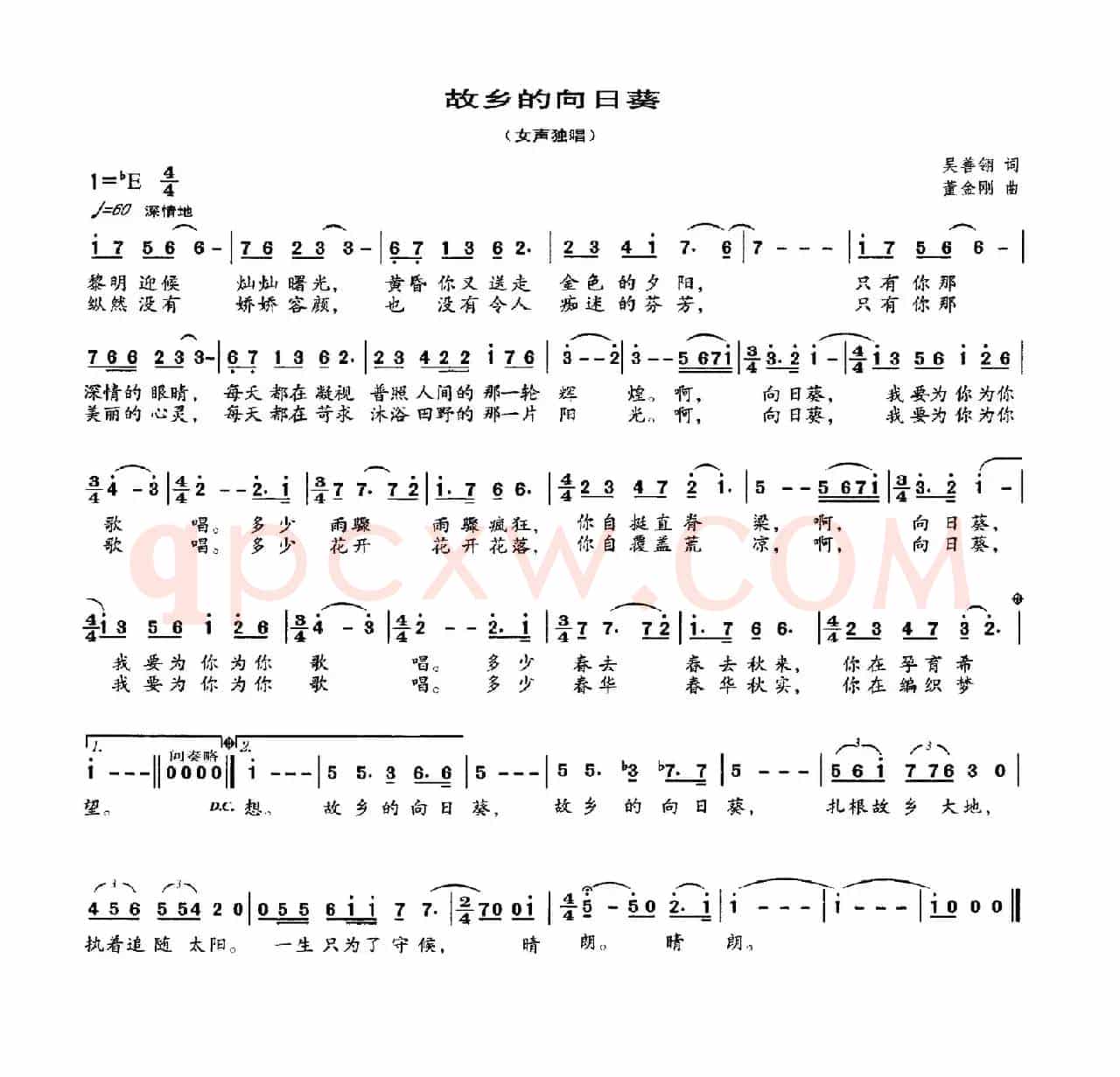 故乡的向日癸