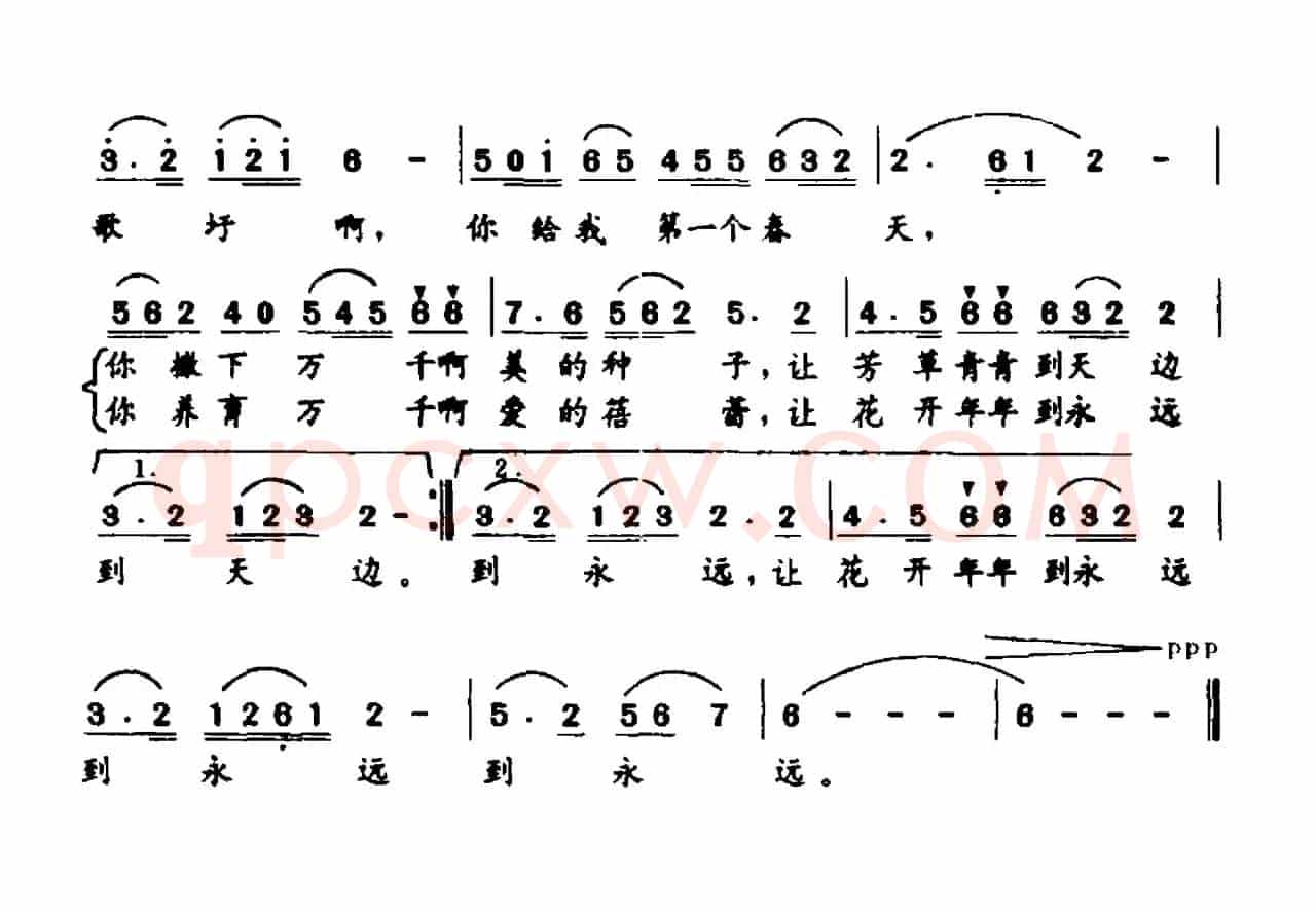 故乡的歌圩