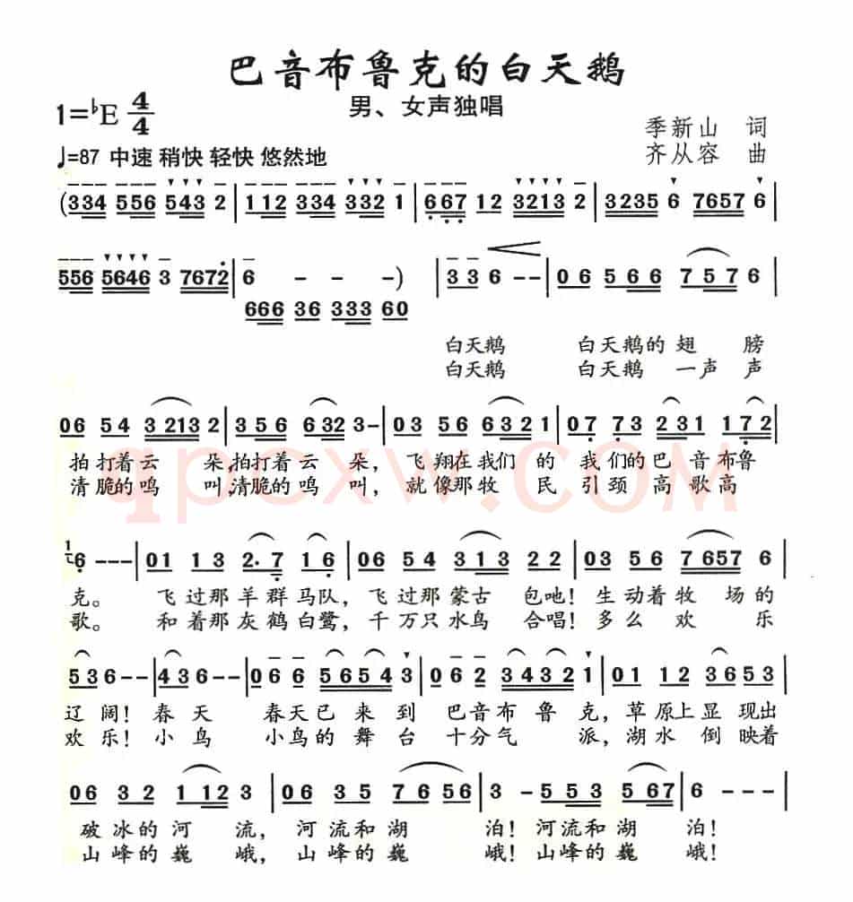 巴音布鲁克的白天鹅