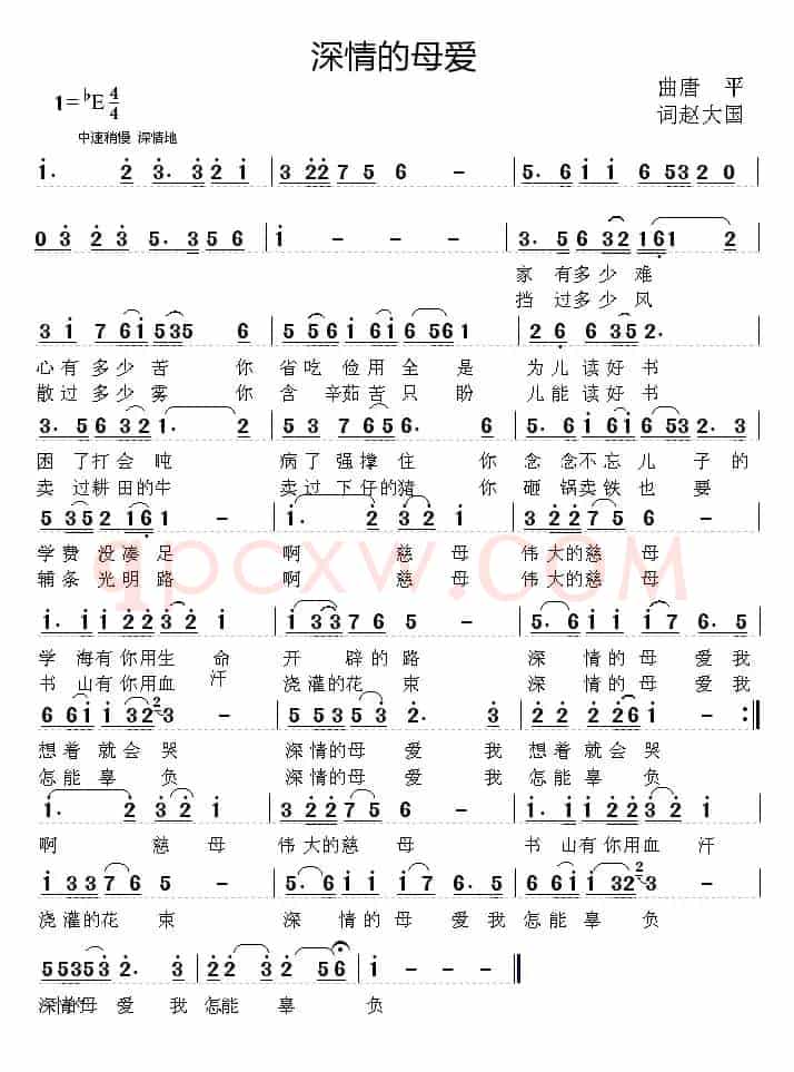 深情的母爱