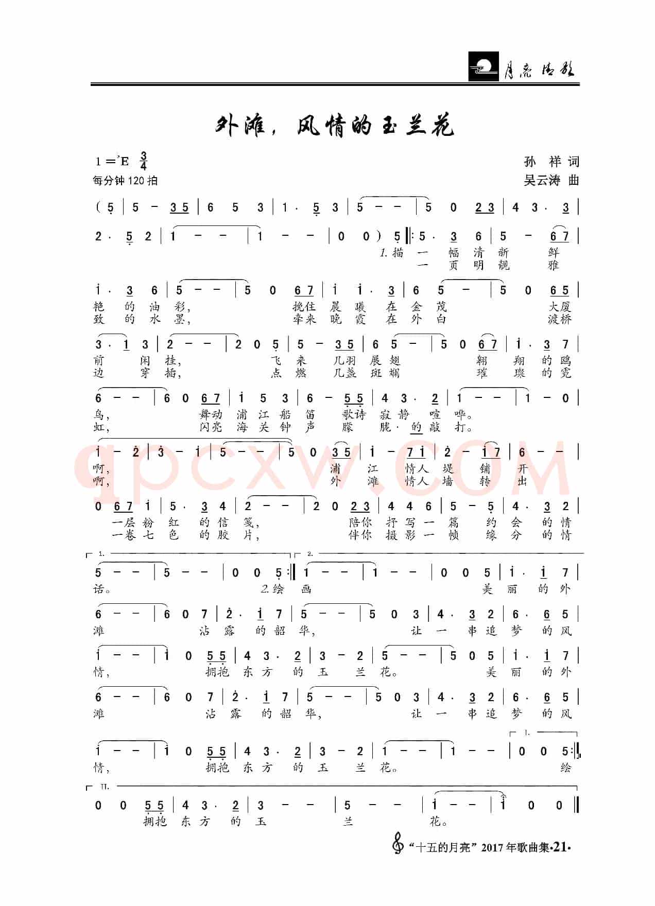 外滩，风情的玉兰花