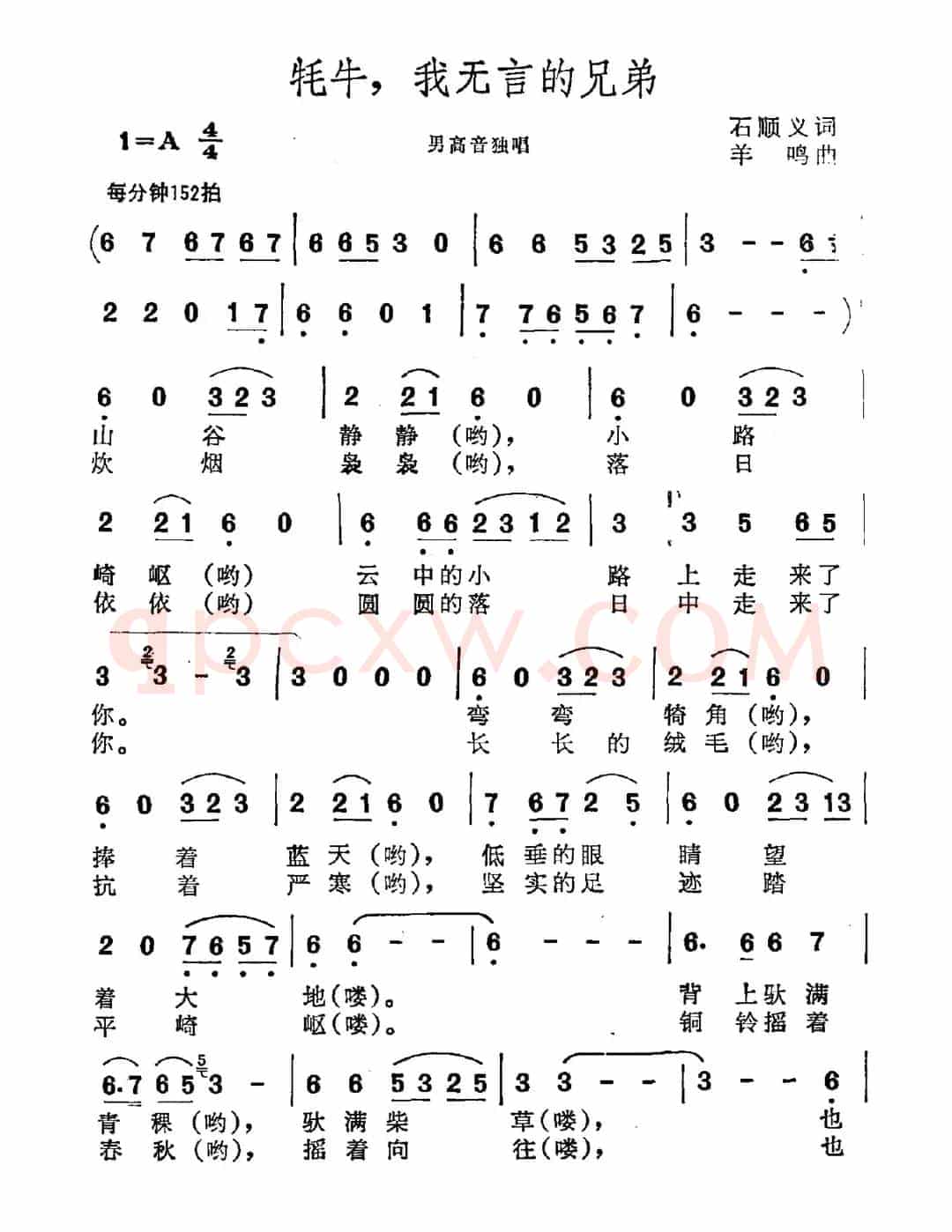 牦牛，我无言的兄弟