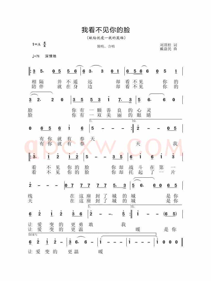 我看不见你的脸(康苗)