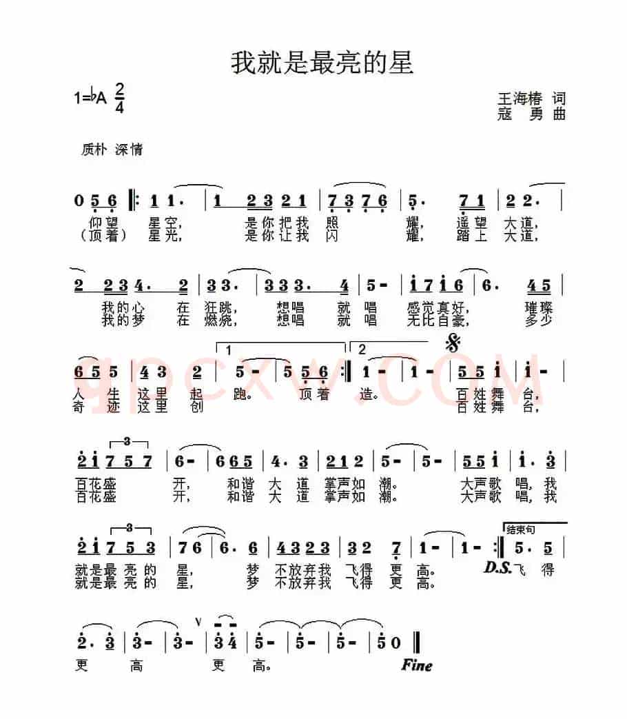 我就是最亮的星