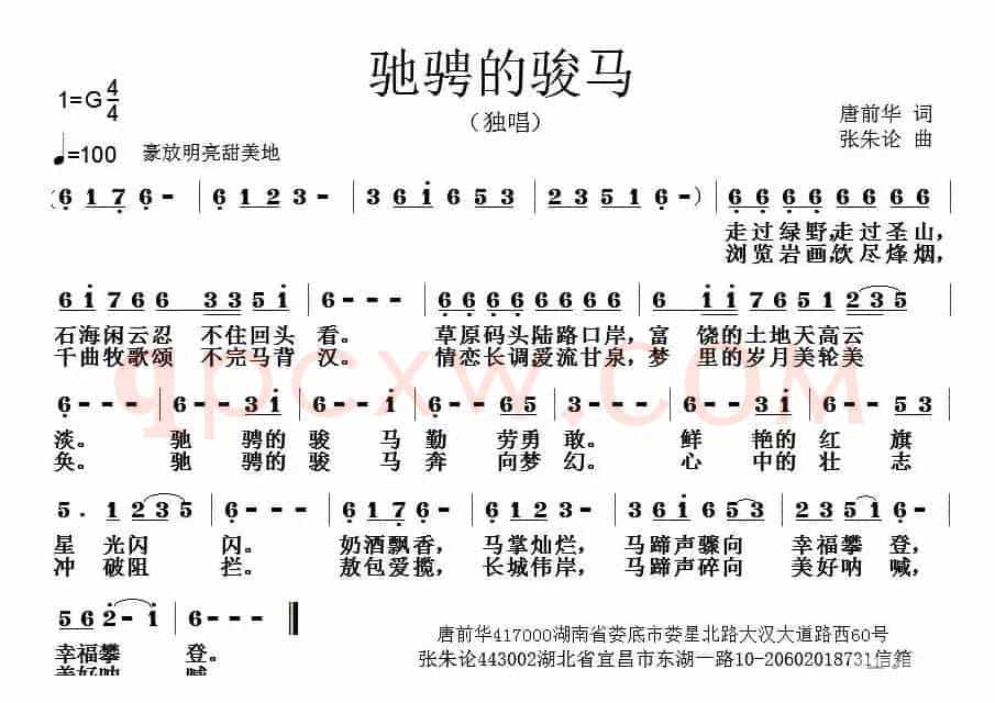 驰骋的骏马