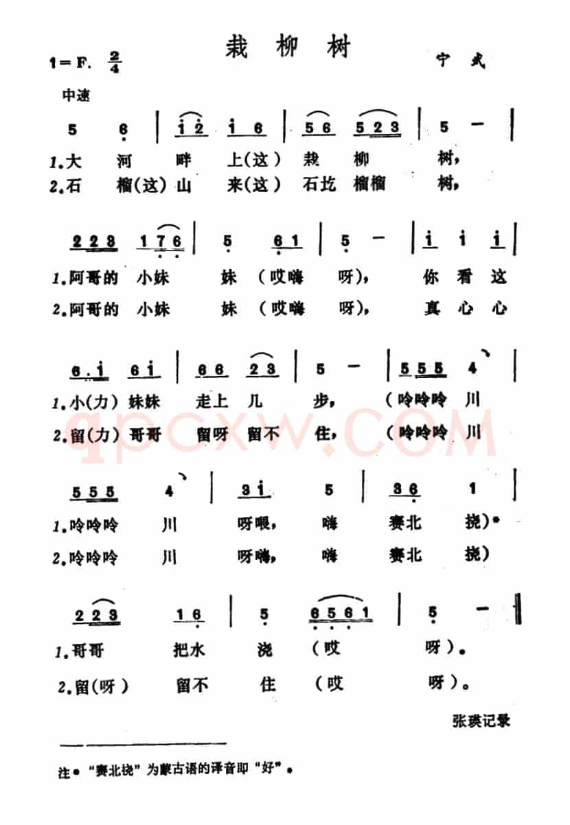 栽柳树（山西宁武小调）