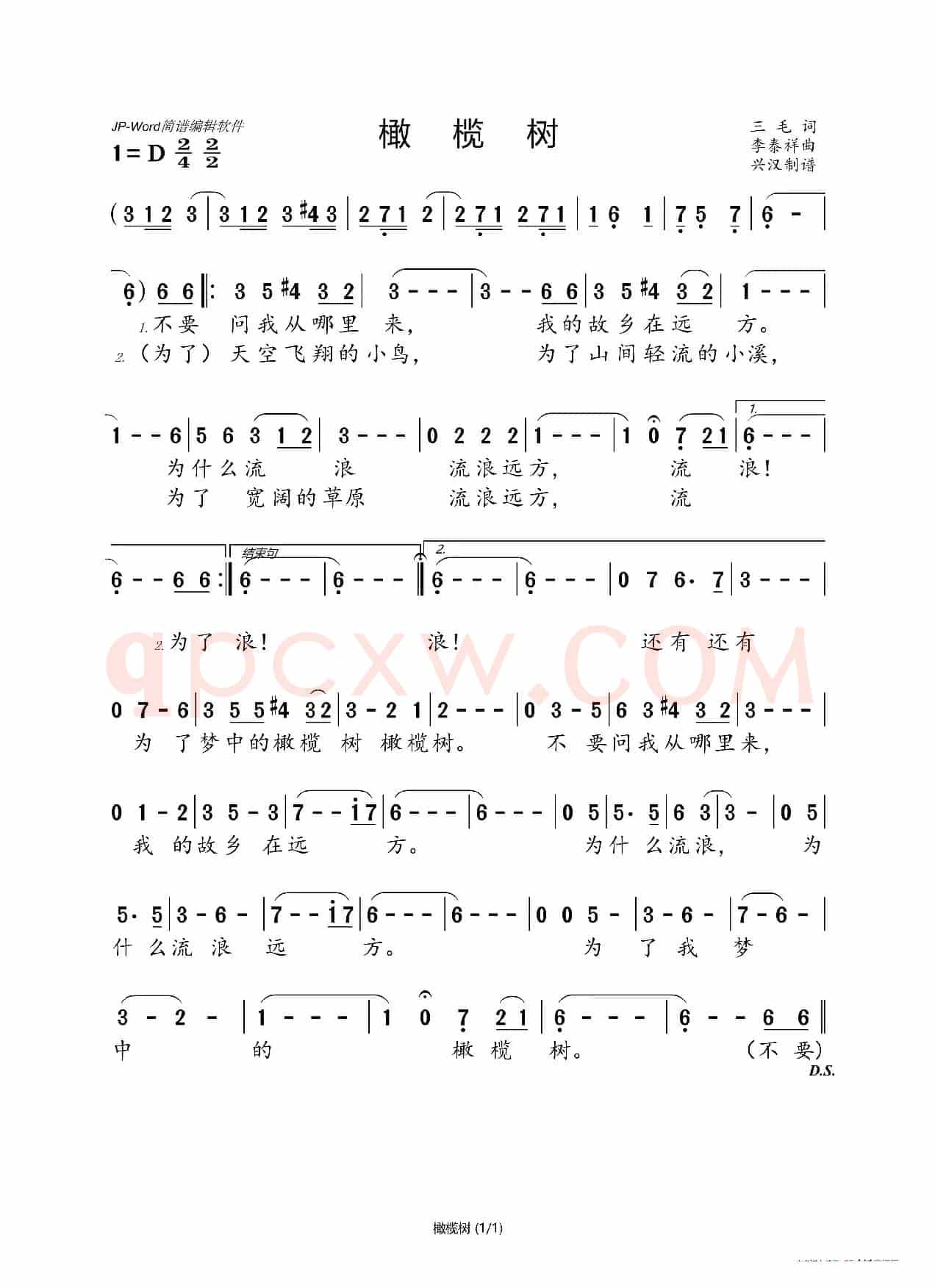 橄榄树